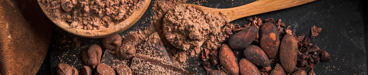 Alkalized Cocoa Powder in Bulk | Quality by Konsonetas