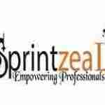 sprintzealEd Profile Picture