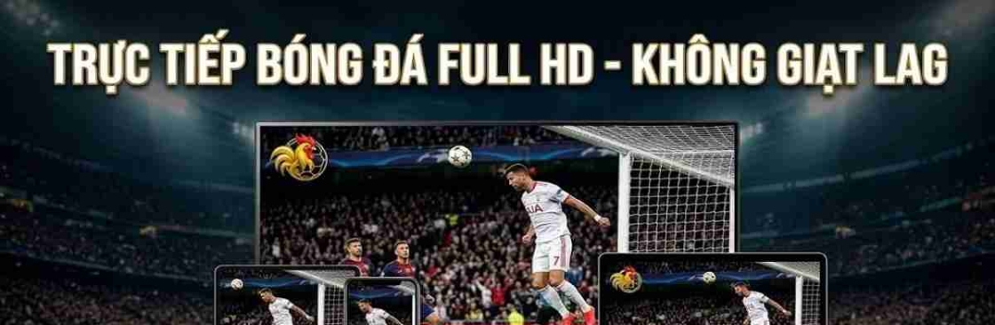 Gavang TV Cover Image