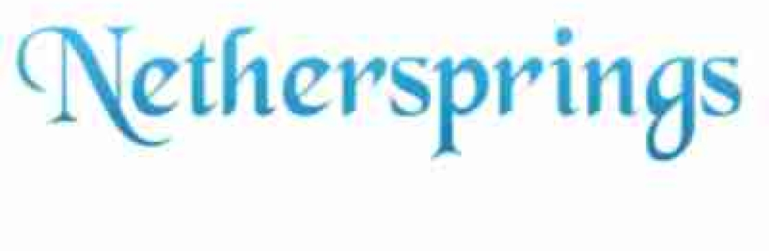 Nethersprings Cover Image