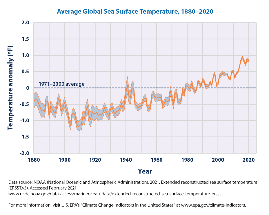 How Climate Change Affects Marine Life - Oceans Research