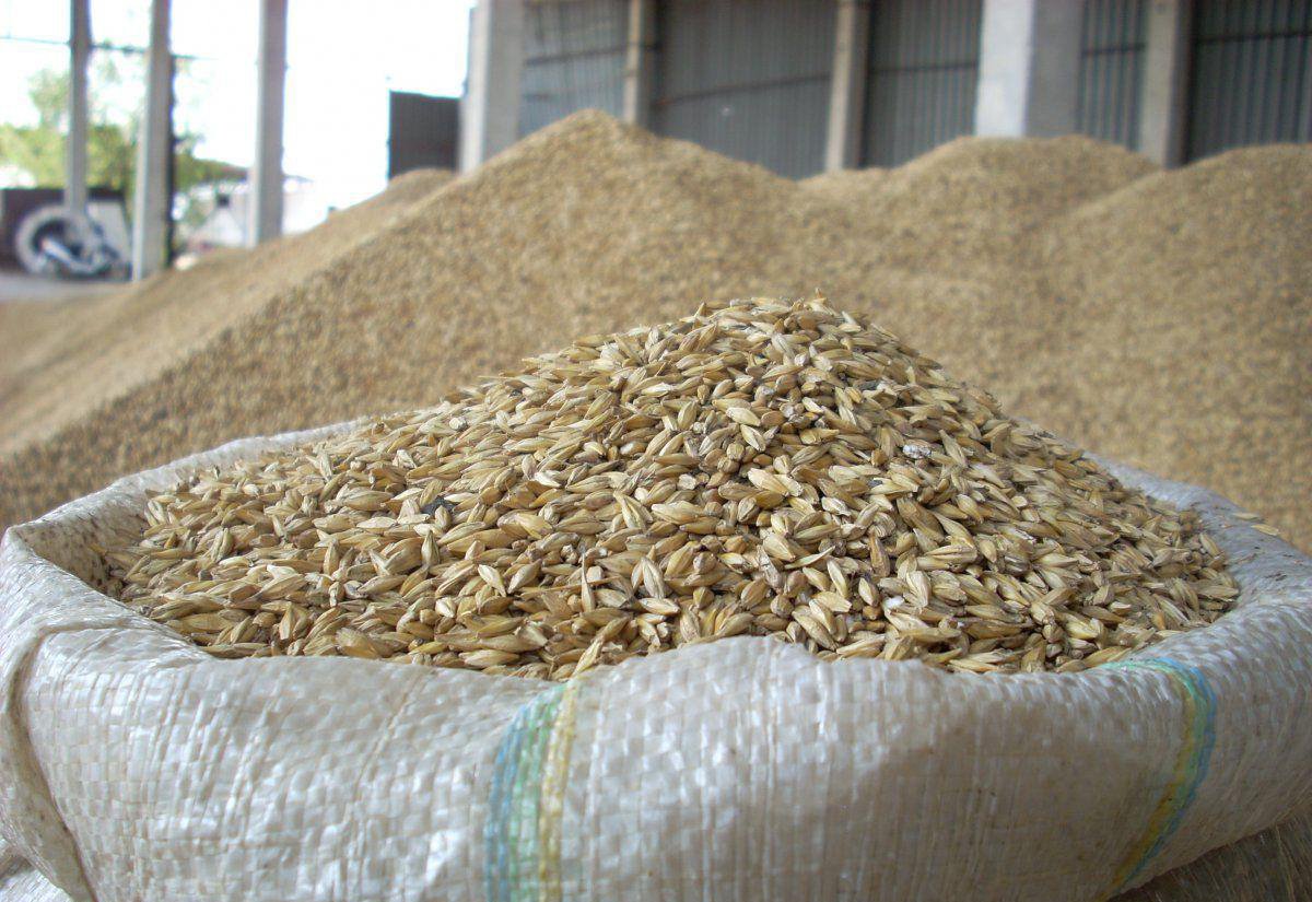 Factors Affecting Bulk Commodity Prices | Agricom