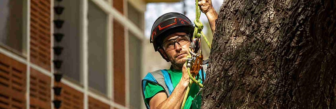 Emerald Tree Care and Garden Cover Image